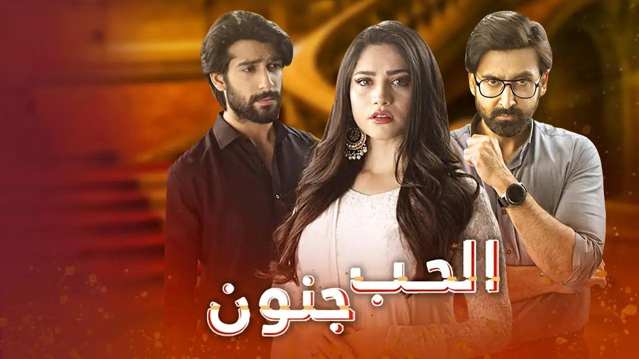 مسلسل الحب جنون الحلقة 22 الثانية والعشرون مدبلج